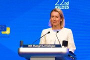 梦见捉蛇受虐？欧盟外长：美国是“严厉的爱”，总比没爱强